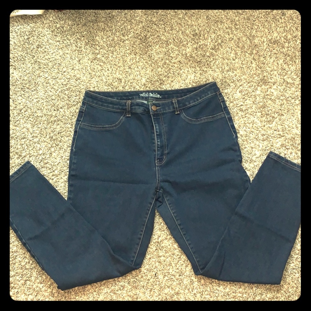 Wild Fable Skinny Jeans